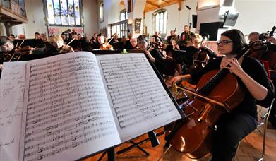 Members of the Portsmouth Philharmonic playing in concert