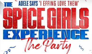 Logo for The Spice Girls Experience: The Party show