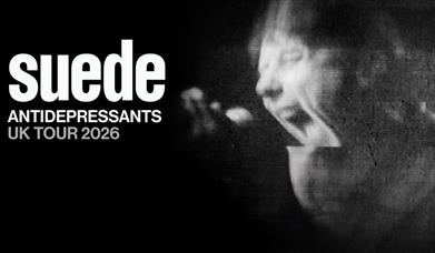 Posted image for Suede's 2026 Antidepressants tour