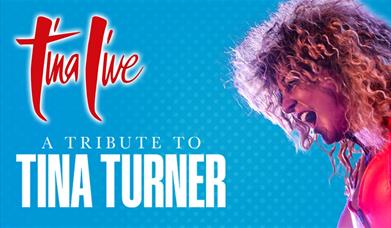 Poster for Tina Live - Tina Turner Tribute