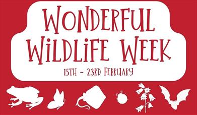 Poster for Wonderful Wildlife Week