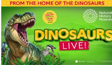 Poster for Natural History Museum presents Dinosaurs live featuring a T-Rex.