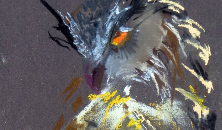 Illustration of a bird of prey