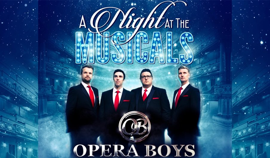 Poster for Opera Boys - A night at the musicals