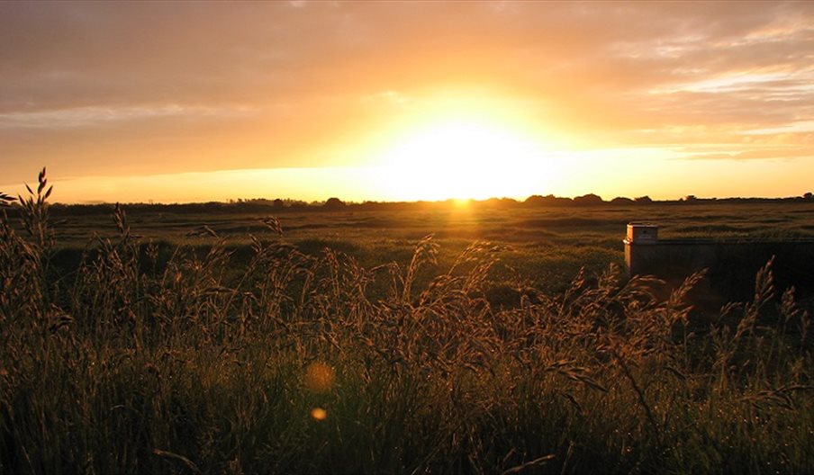 Hay field at dawn - photograph by Nick Rowe