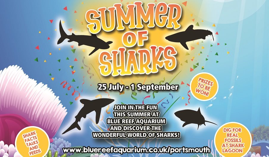 Poster image detailing the Summer of Sharks event at Blue Reef Aquarium