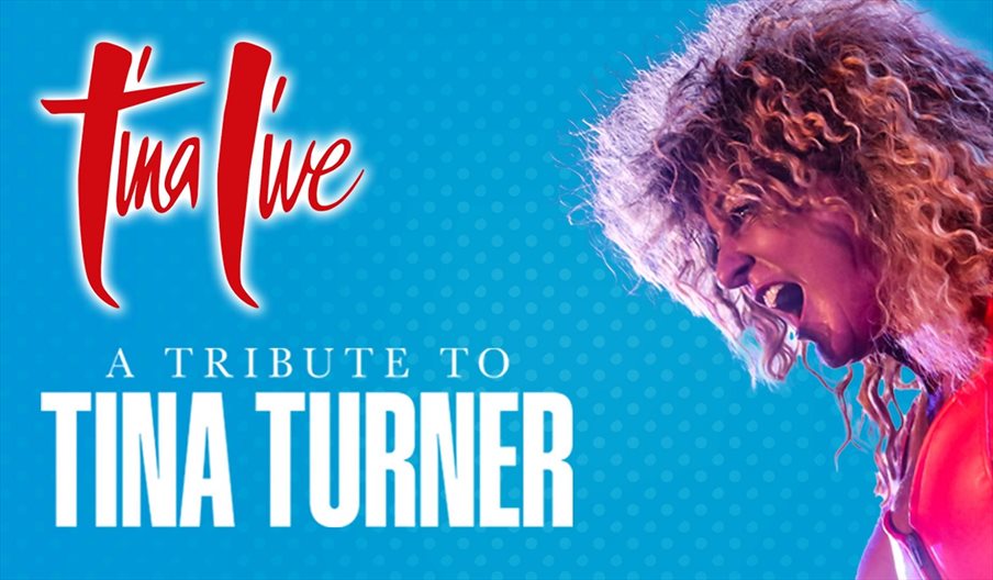 Poster for Tina Live - Tina Turner Tribute