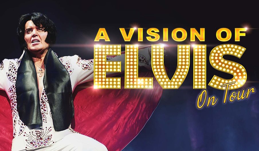 Poster for A Vision of Elvis