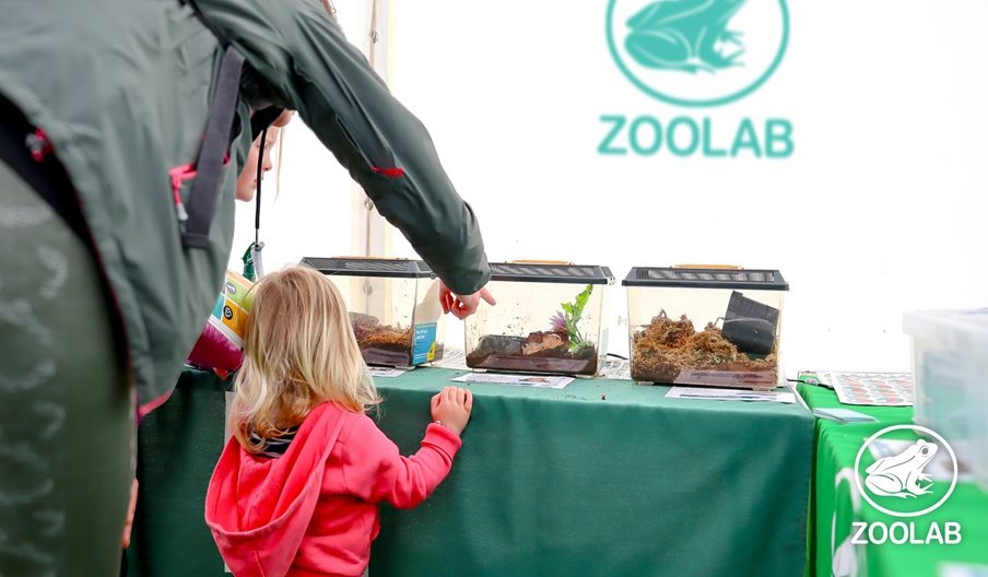 A child looking an array of creatures provided by Zoolab.