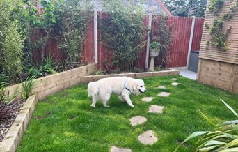 A dog enjoys the lawned garden at The Beach at the End of the Road