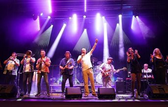 Photograph showing tribute band No Jacket Required live in concert