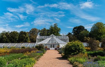 Victorian Glasshouse at Staunton Farm