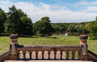 View out over Staunton Country Park under a blue sky