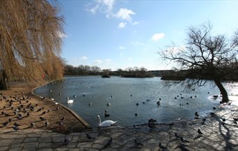 Image of Baffins Pond