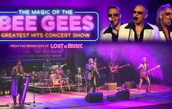 Mix of images for The Magic of the Bee Gees.