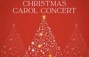 Illustration for the Wessex Cancer Support Christmas Concert