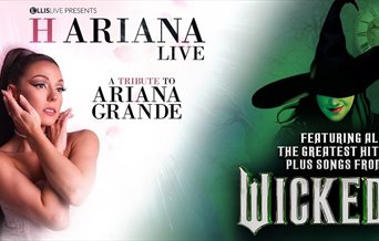 Poster for H Ariana Live