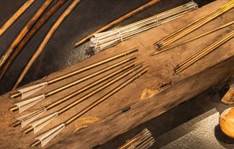 Photograph showing arrows on display at The Mary Rose museum