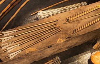 Photograph of Tudor arrows from the Mary Rose collection