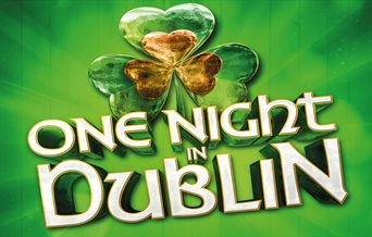 Logo for One Night in Dublin