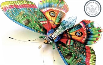 A butterfly designed with computer components by a member of the Portsmouth & Hampshire Art Society