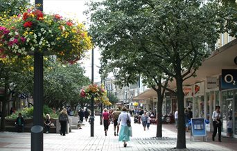 Image of Palmerston Road