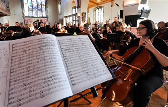 Members of the Portsmouth Philharmonic playing in concert