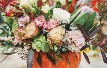 Image of a pumpkin with flowers coming out of the top, for the Pumpkin Floristry Workshop event at Stansted House