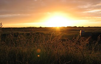 Hay field at dawn - photograph by Nick Rowe