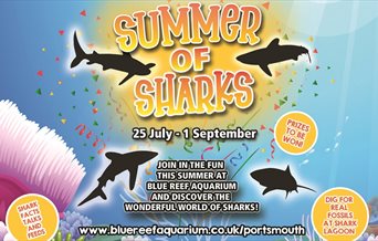 Poster image detailing the Summer of Sharks event at Blue Reef Aquarium