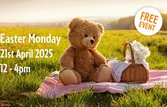 A teddy bear having a picnic in the grounds of Stansted House