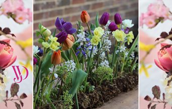 Photograph of floral creations by Vanessa Jayne Floral Design