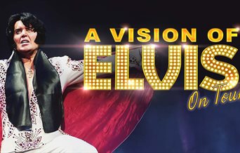 Poster for A Vision of Elvis