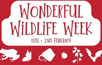 Poster for Wonderful Wildlife Week