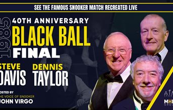 Poster featuring Steve Davis, Dennis Taylor and John Virgo advertising the Black Ball anniversary tour.