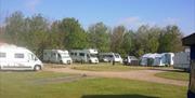 Touring caravans and motorhomes lined up at Kingfisher Caravan Park