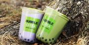 Two milky bubble teas near a tree