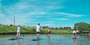 Paddleboarders out on the water