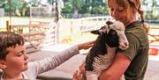 An animal encounter session at Staunton Farm