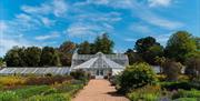 Victorian Glasshouse at Staunton Farm