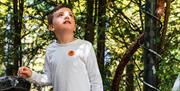 A child amid the trees at Staunton Farm