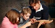 Image of a hands-on demonstration at Blue Reef Aquarium