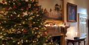 Inside one of the rooms at Stansted House, decorated for Christmas with a tree by the fireplace