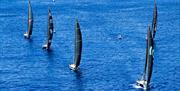 Boats racing in formation on a blue sea, copyright Sailing Energy - The Ocean Race