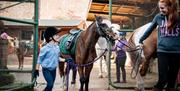 Children at Fort Widley Equestrian Centre