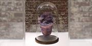 An exhibit from Hannah Bestley Burt's Underland