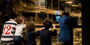 Children admiring the view of the Mary Rose