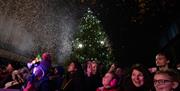 People gathered to watch the Christmas lights switch on party at Portsmouth's Commercial Road