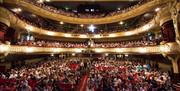 Crowds of people taking to their seats inside the Kings Theatre