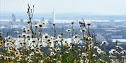 View from Portsdown Hill